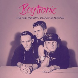 The Pre-Working Demos: Extension