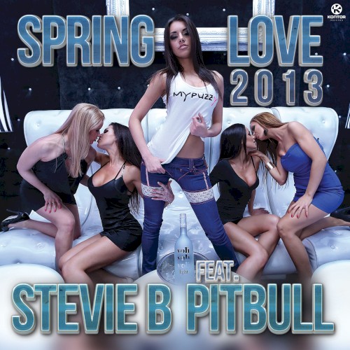 Spring Love 2013 (remixes)
