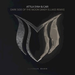 Dark Side of the Moon (Andy Elliass remix)