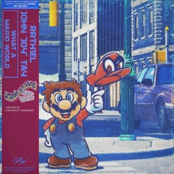 what a mario world - underground (vocal mix)