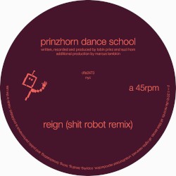 Remixes / Shit Robot & Optimo