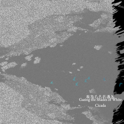 凝視白色的邊界 Gazing the Shades of White