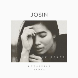 In the Blank Space (Roosevelt remix)