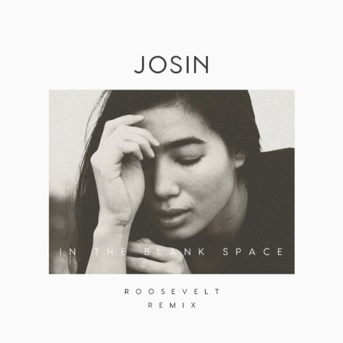 In the Blank Space (Roosevelt remix)