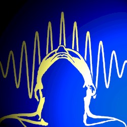 The Transactional Interpretation