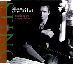Let Your Soul Be Your Pilot (Remixes by a & G Division)