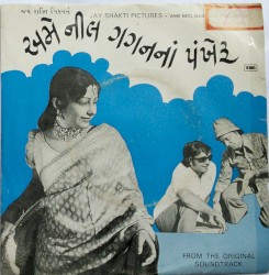 અમે નીલ ગગનનાં પંખેરૂ