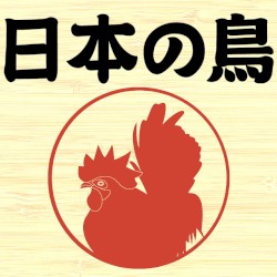 Ecobag: 13 Japanese Birds in a Bag