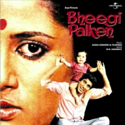 Bheegi Palkein