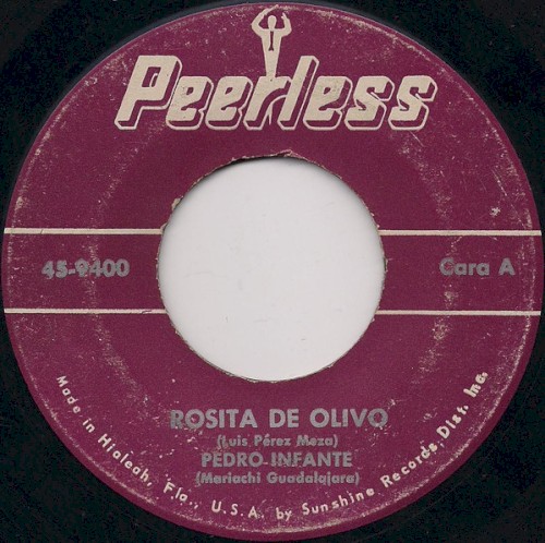 Rosita de olivo / Mi consentida