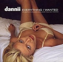 Everything I Wanted (Limited Edition)