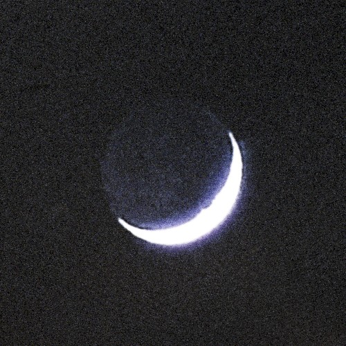 Tarab