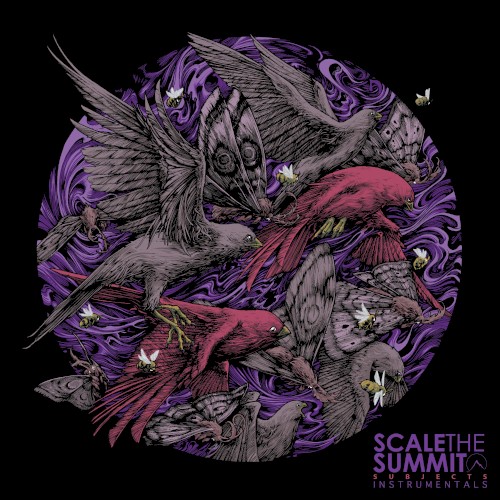 Subjects (instrumentals)