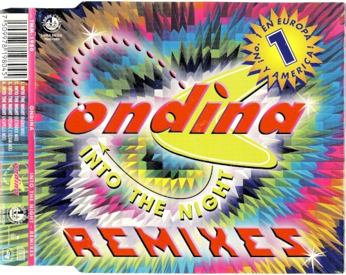 Into the Night (Remixes)