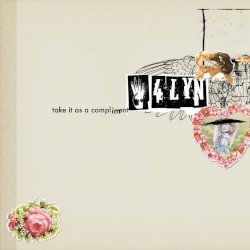 Take It as a Compliment (Limited Tour Edition)
