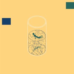 Swim (reprise)