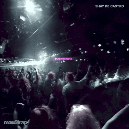 Feel My Bass (extended mix)