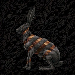 Jackrabbit (Deluxe)