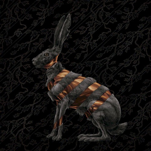 Jackrabbit (Deluxe)