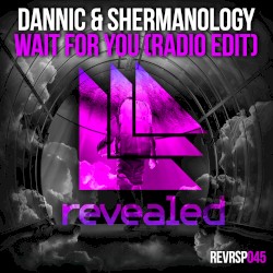 Wait for You (radio edit)