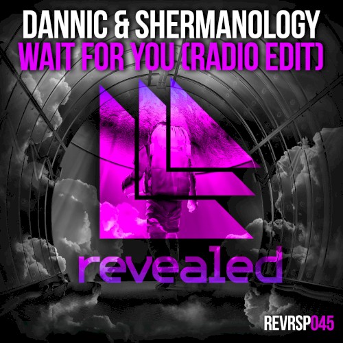 Wait for You (radio edit)