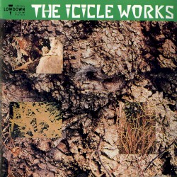 Icicle Works