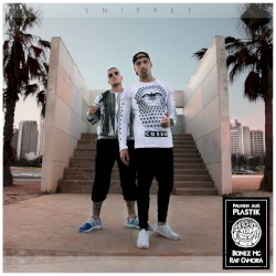 Palmen aus Plastik (snippet)