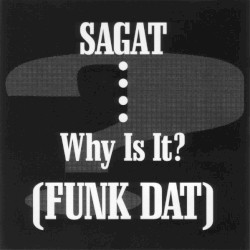 Why Is It? (Funk Dat)