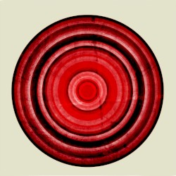 Elephant Shell Remixes
