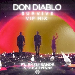 Survive (VIP mix / extended version)