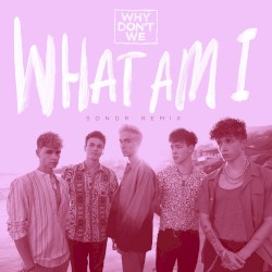 What Am I (SONDR remix)