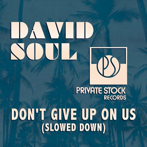 Don’t Give Up On Us (Slowed Down)