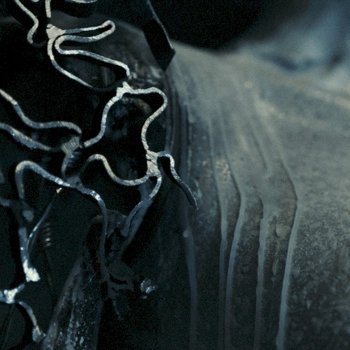 Dogma