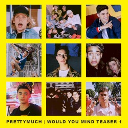 Would You Mind (teaser 1)
