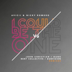 I Could Be the One (Remixes)