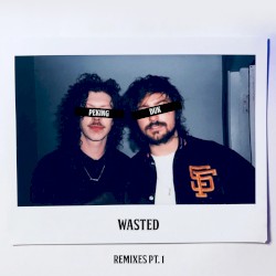 Wasted (Remixes, Pt. 1)