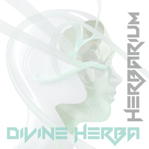 DIVINE HERBA (EXTENDED)
