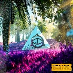 Like I Do (LZRD Remix)