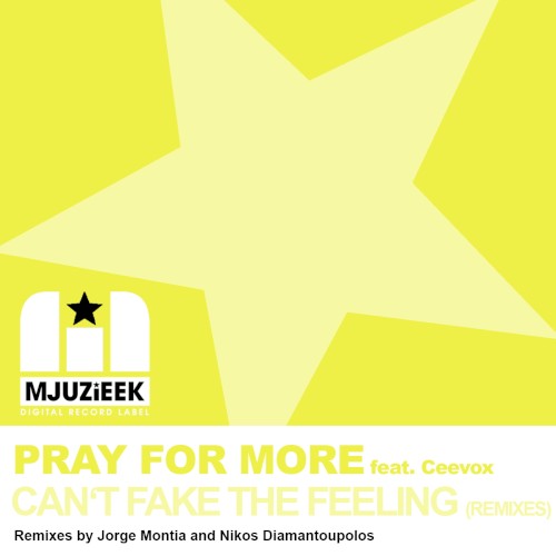 Can’t Fake the Feeling (Remixes)