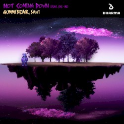 Not Coming Down (extended mix)