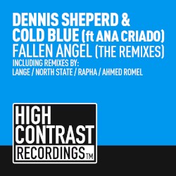Fallen Angel (The Remixes)