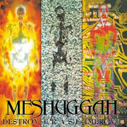 Destroy Erase Improve (Reloaded)