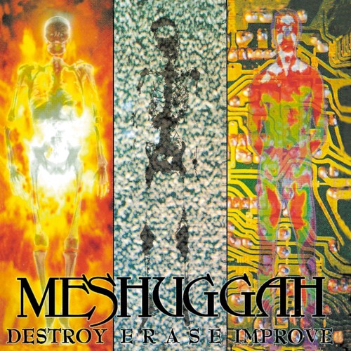 Destroy Erase Improve (Reloaded)