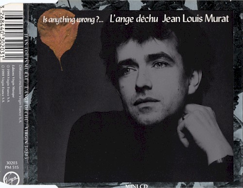 Is Anything Wrong?... L'Ange déchu