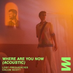 Where Are You Now (acoustic)