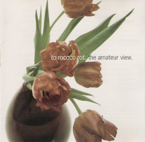 The Amateur View (Expanded Edition 2025)