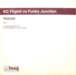 Voices (disc 2)