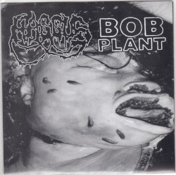Haggus / Bob Plant