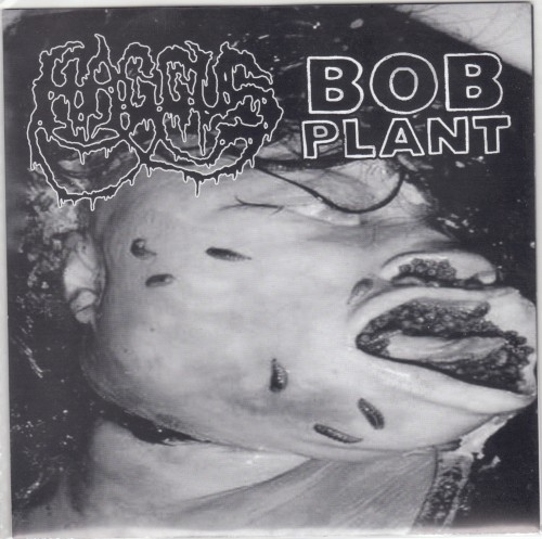 Haggus / Bob Plant
