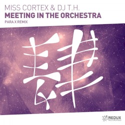 Meeting in the Orchestra (Para X remix)